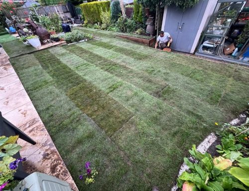 New Lawn & Turf Installation | Burnley